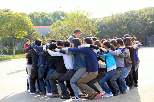 Team-building Activity the Strength of Unity